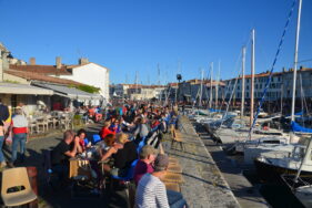 La Fête du Coquillage 15ème Édition Site officiel de la Mairie de